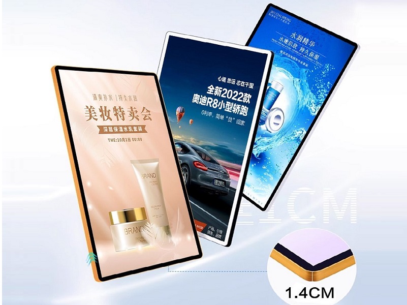 Pull Up Poster Frame